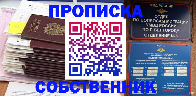 прописка законно в Кольчугино
